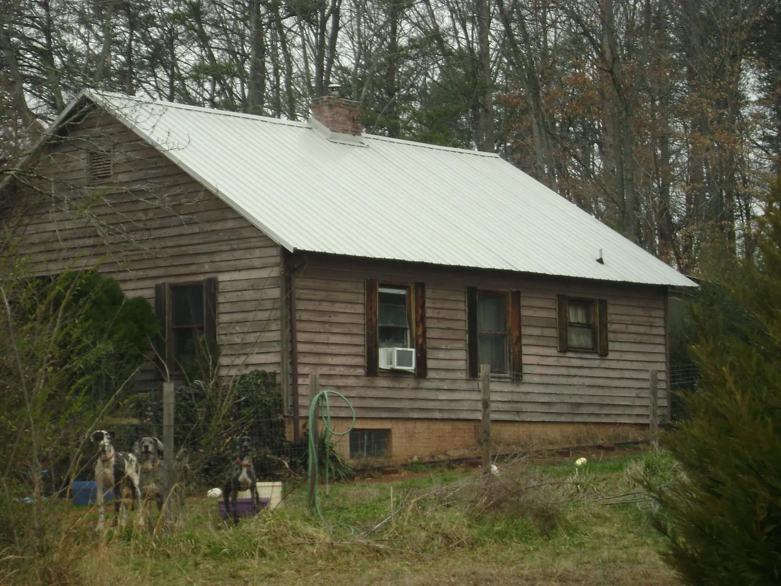 White metal roof on an old wood sided farmhouse, from a Metal Roof Installation job in Cameron